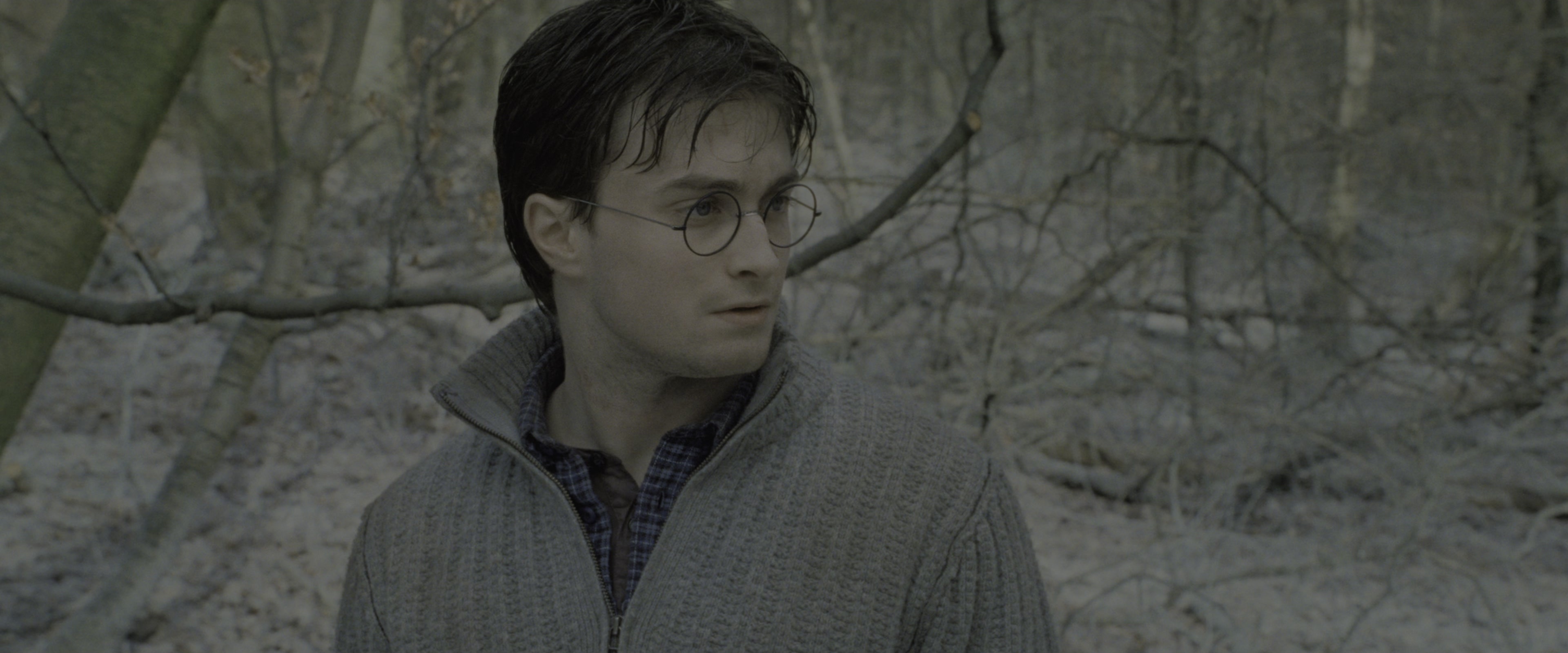 Harry Potter and the Deathly Hallows - Part 1 (2010), wide, 2.40:1 — film still
