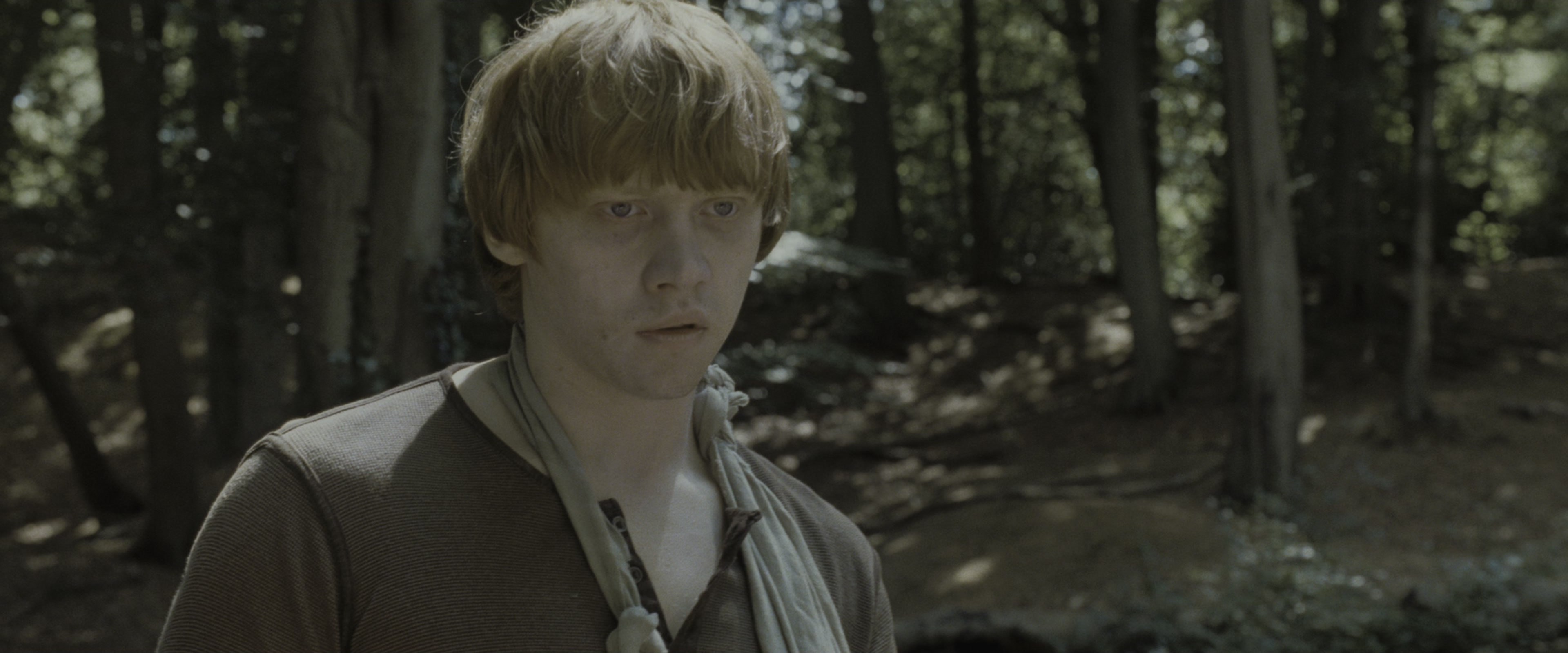 Harry Potter and the Deathly Hallows - Part 1 (2010), wide, 2.40:1 — film still