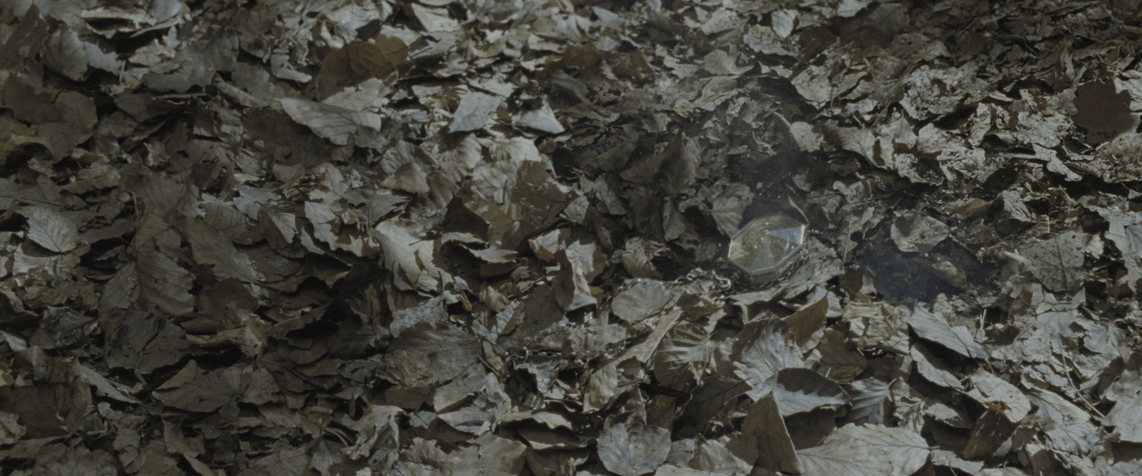 Harry Potter and the Deathly Hallows - Part 1 (2010), wide, 2.40:1 — film still