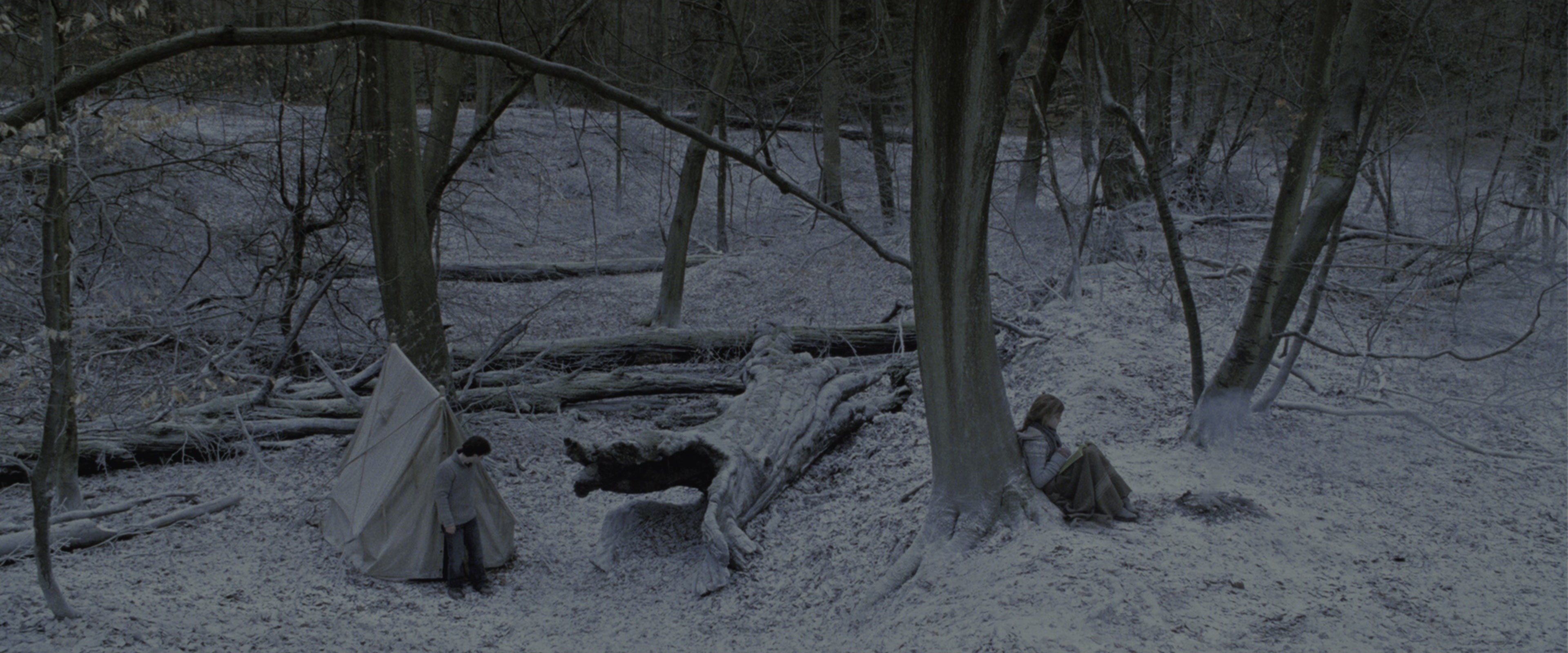 Harry Potter and the Deathly Hallows - Part 1 (2010), wide, 2.40:1 — film still