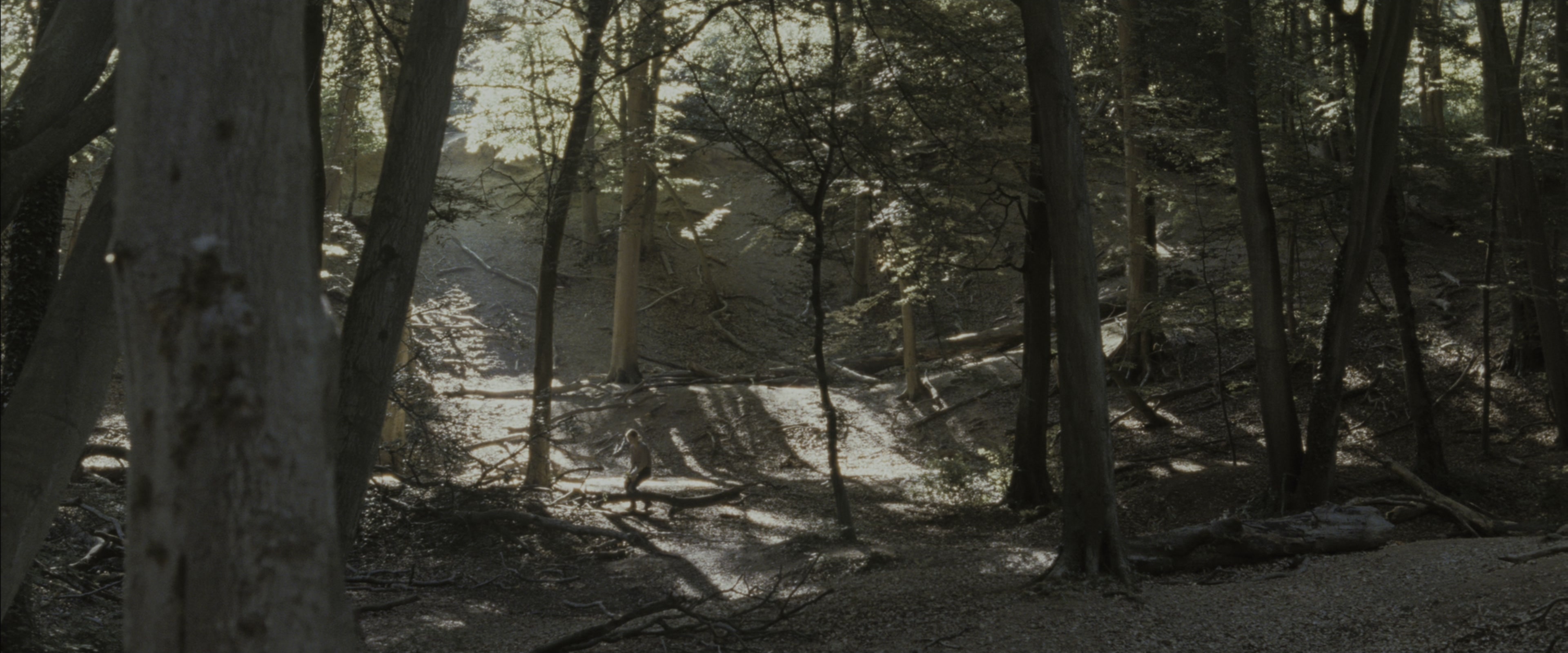 Harry Potter and the Deathly Hallows - Part 1 (2010), wide, 2.40:1 — film still