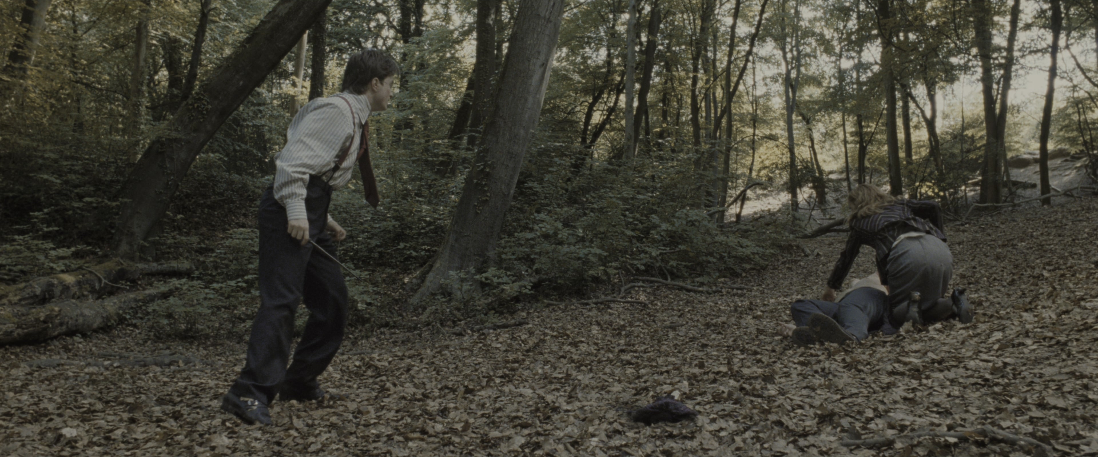 Harry Potter and the Deathly Hallows - Part 1 (2010), wide, 2.40:1 — film still