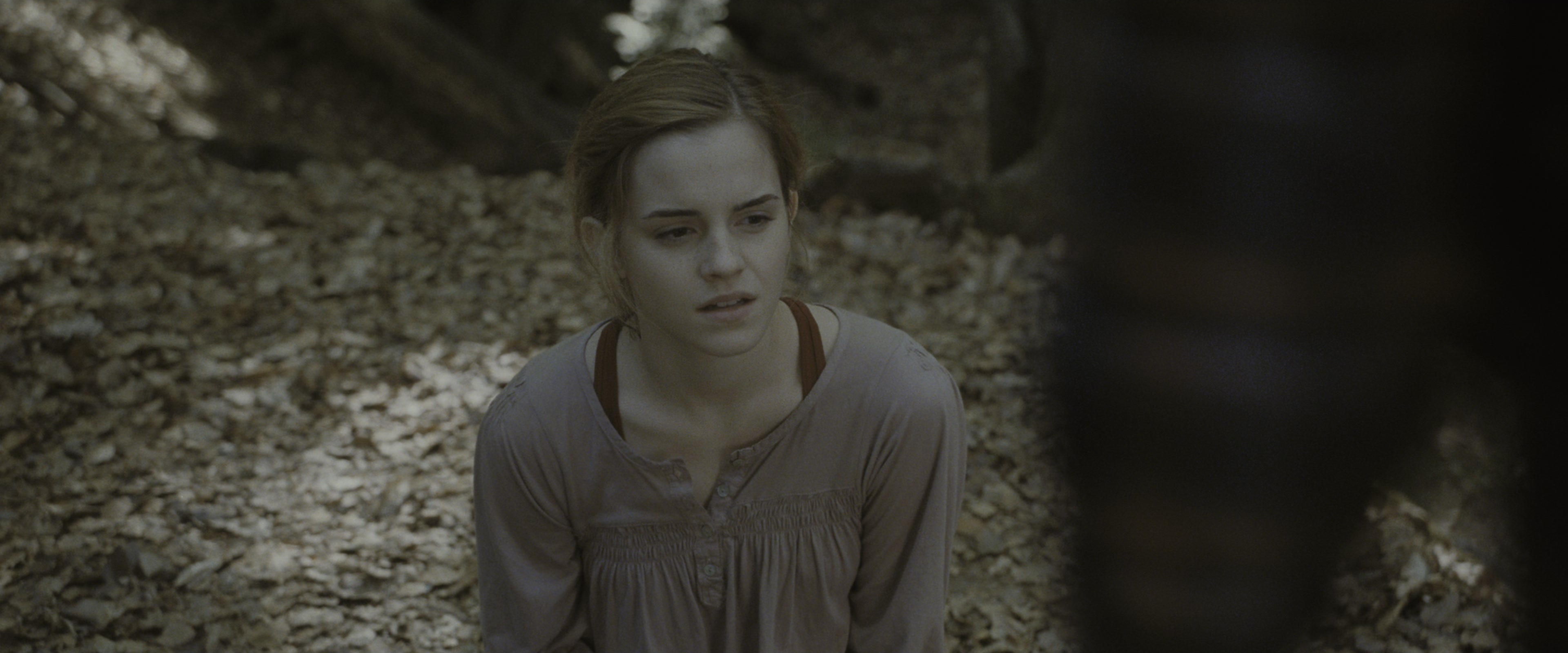 Harry Potter and the Deathly Hallows - Part 1 (2010), wide, 2.40:1 — film still