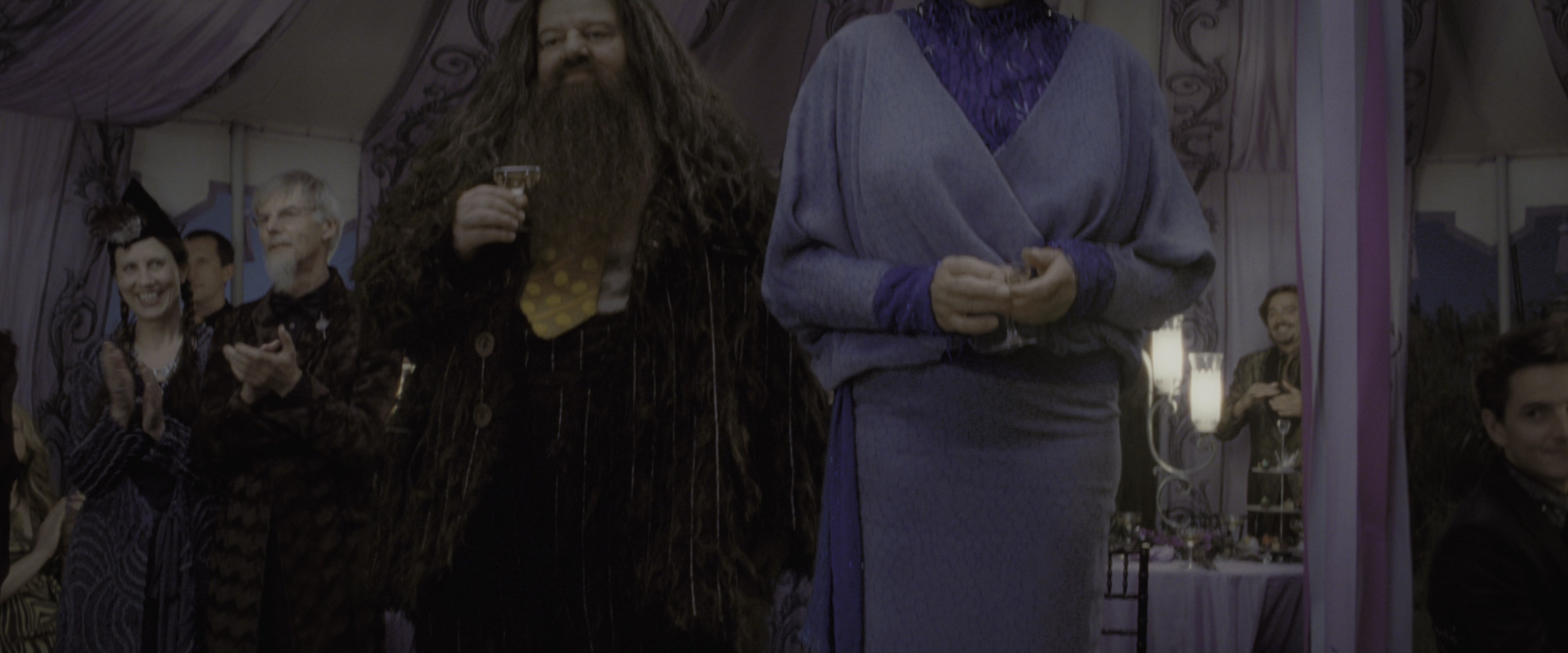Harry Potter and the Deathly Hallows - Part 1 (2010), wide, 2.40:1 — film still