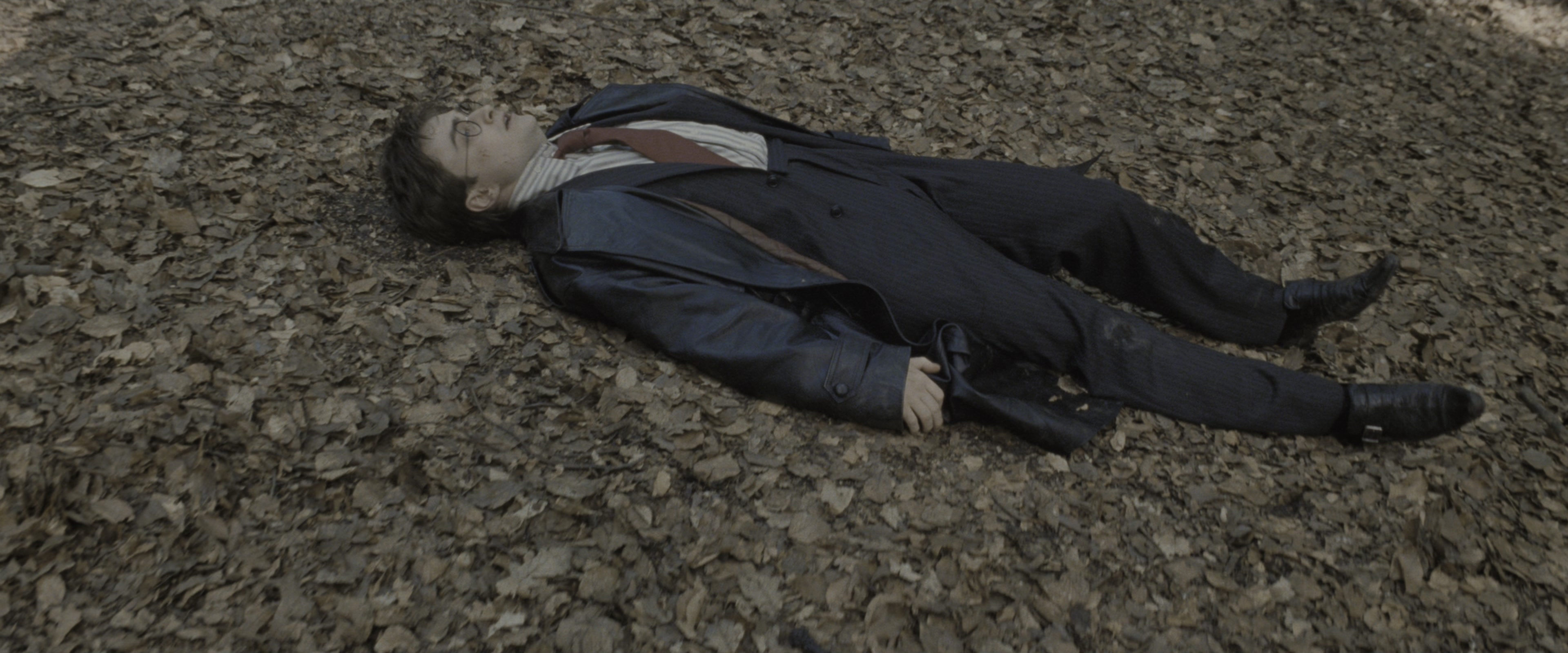 Harry Potter and the Deathly Hallows - Part 1 (2010), wide, 2.40:1 — film still
