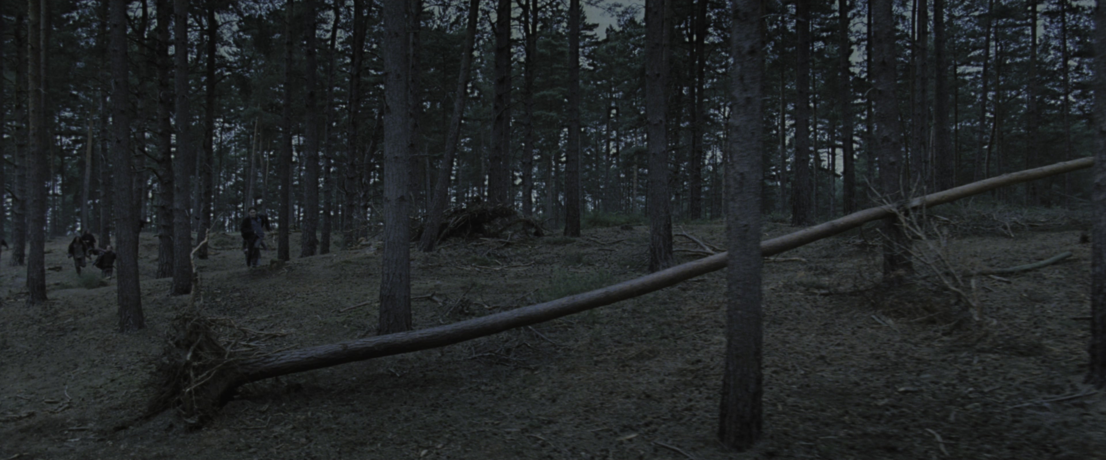 Harry Potter and the Deathly Hallows - Part 1 (2010), wide, 2.40:1 — film still