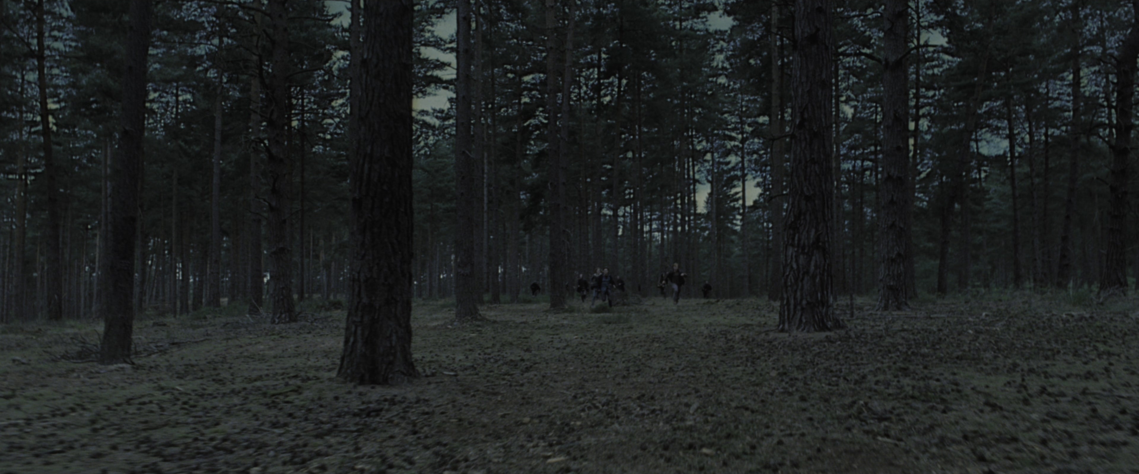 Harry Potter and the Deathly Hallows - Part 1 (2010), wide, 2.40:1 — film still