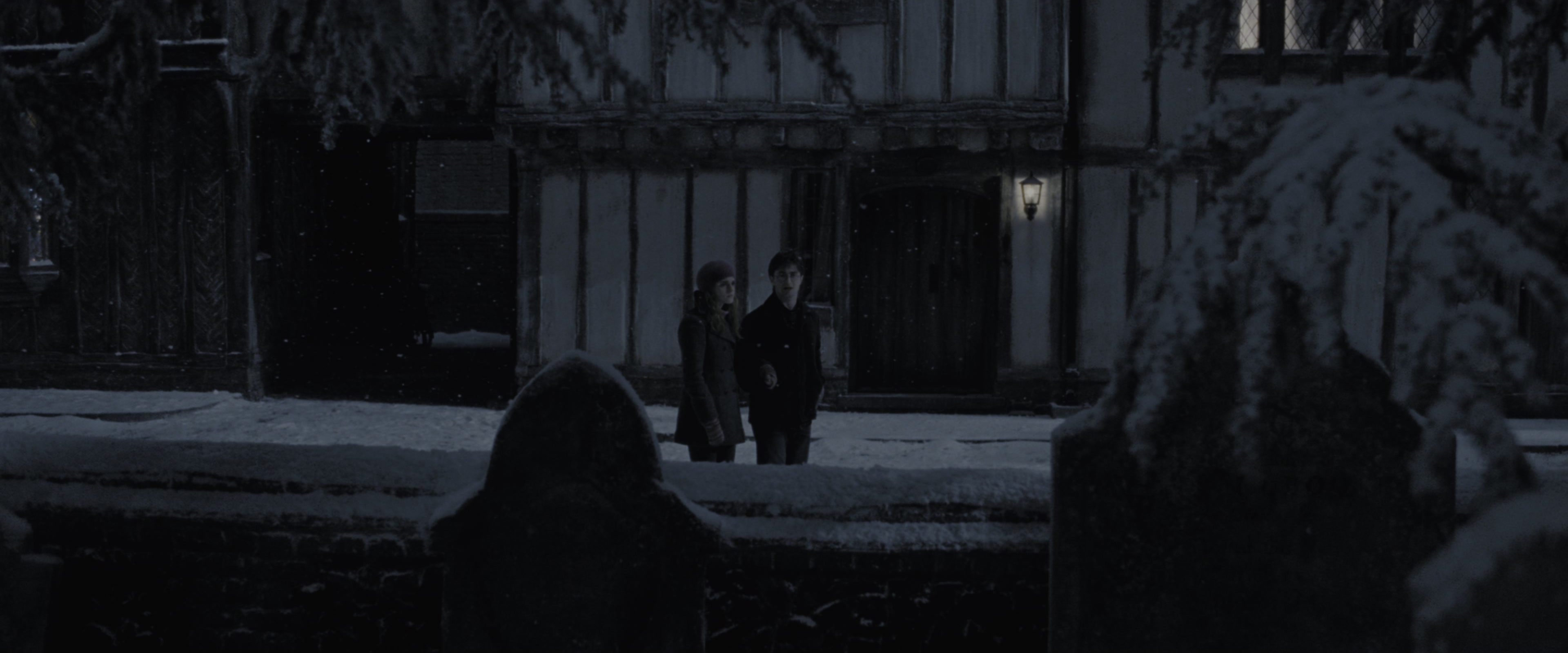 Harry Potter and the Deathly Hallows - Part 1 (2010), wide, 2.40:1 — film still