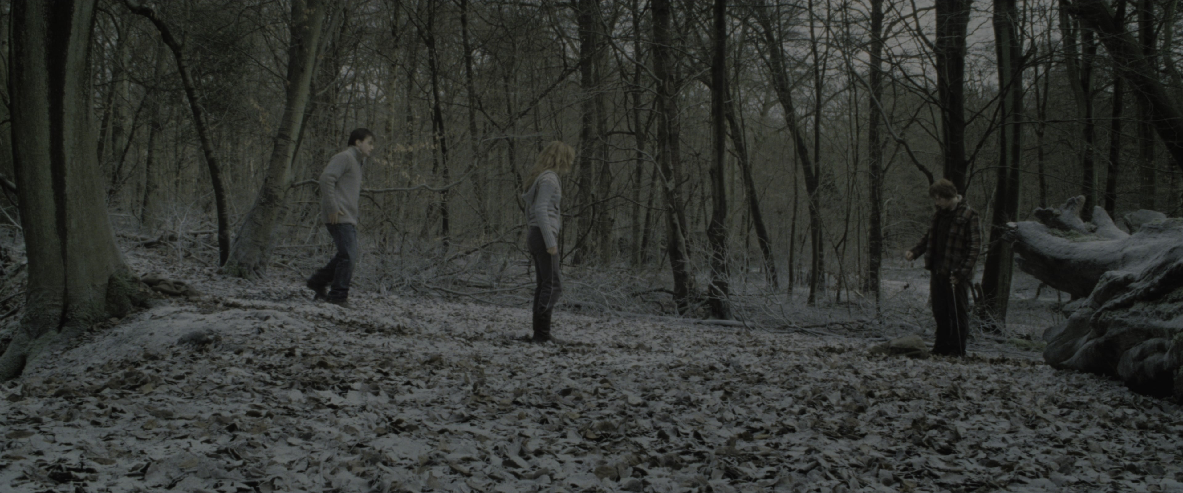 Harry Potter and the Deathly Hallows - Part 1 (2010), wide, 2.40:1 — film still