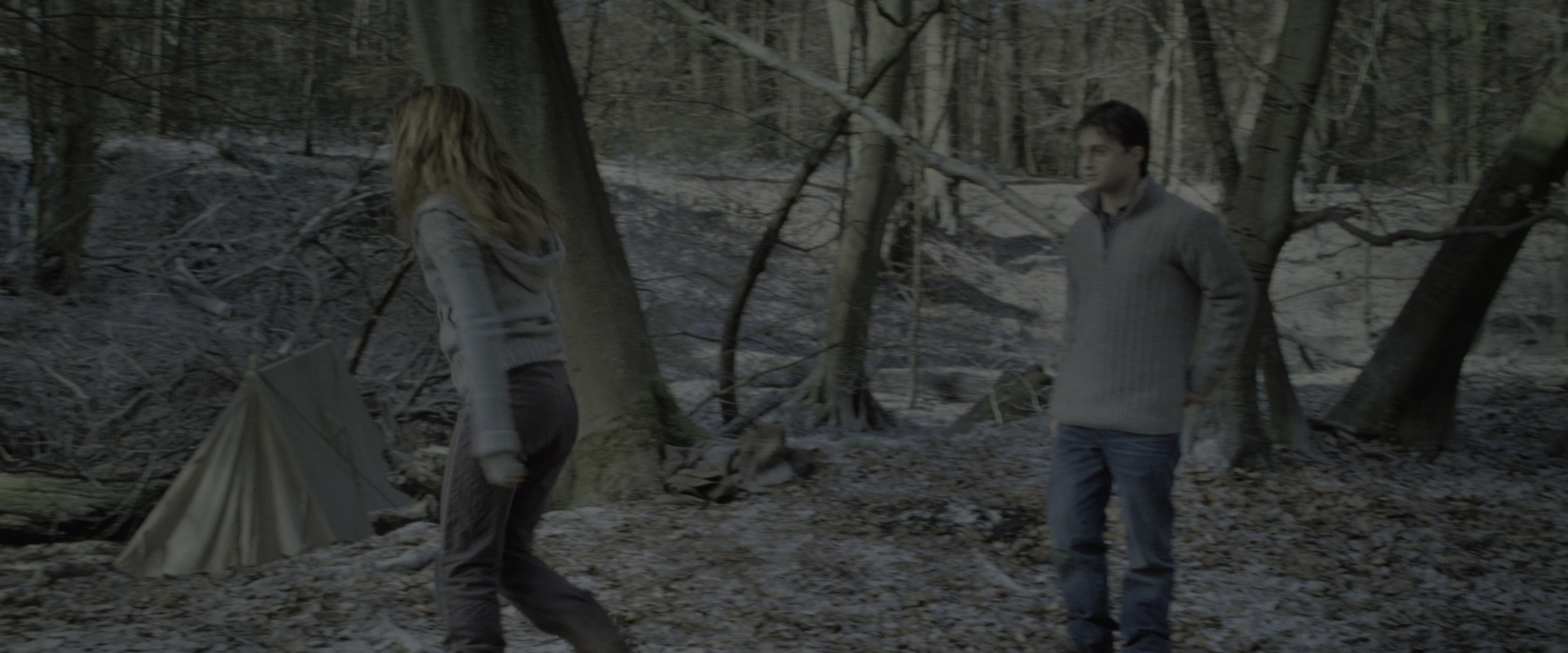 Harry Potter and the Deathly Hallows - Part 1 (2010), wide, 2.40:1 — film still