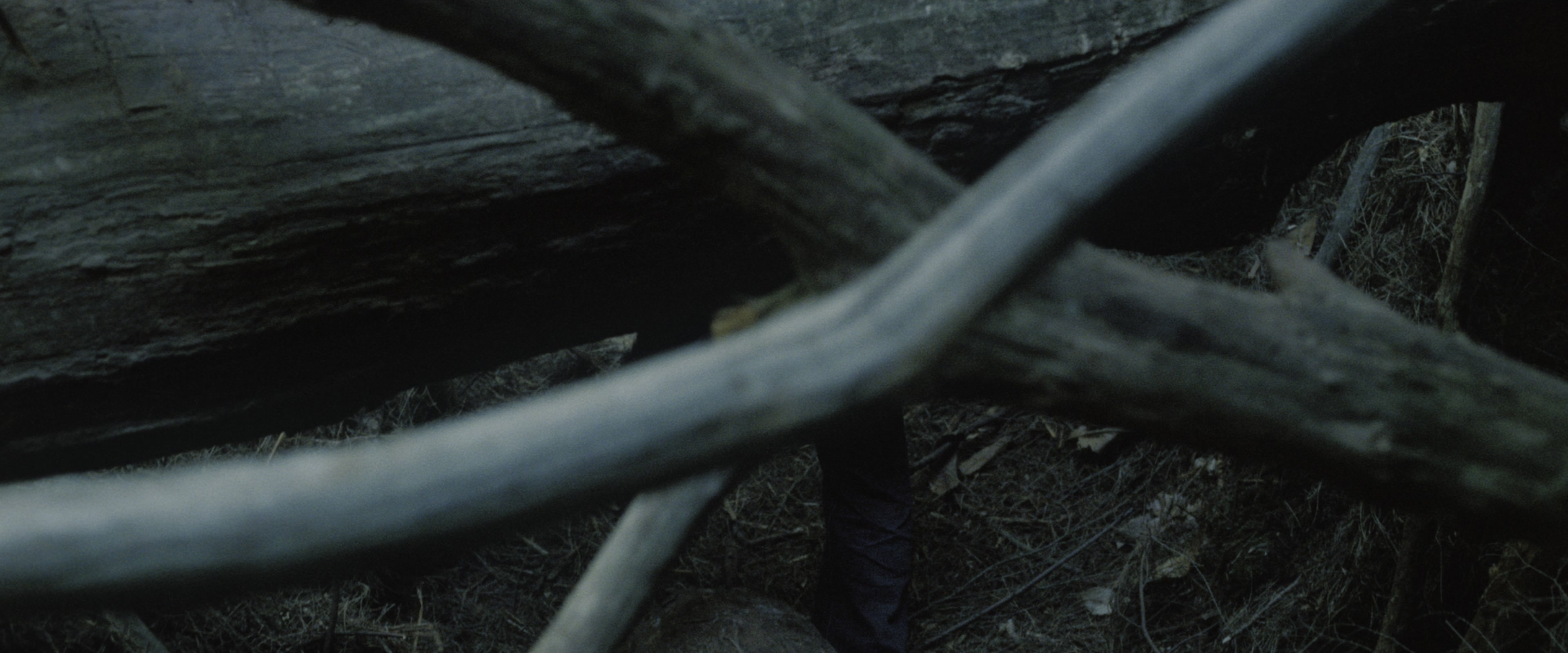 Harry Potter and the Deathly Hallows - Part 1 (2010), wide, 2.40:1 — film still