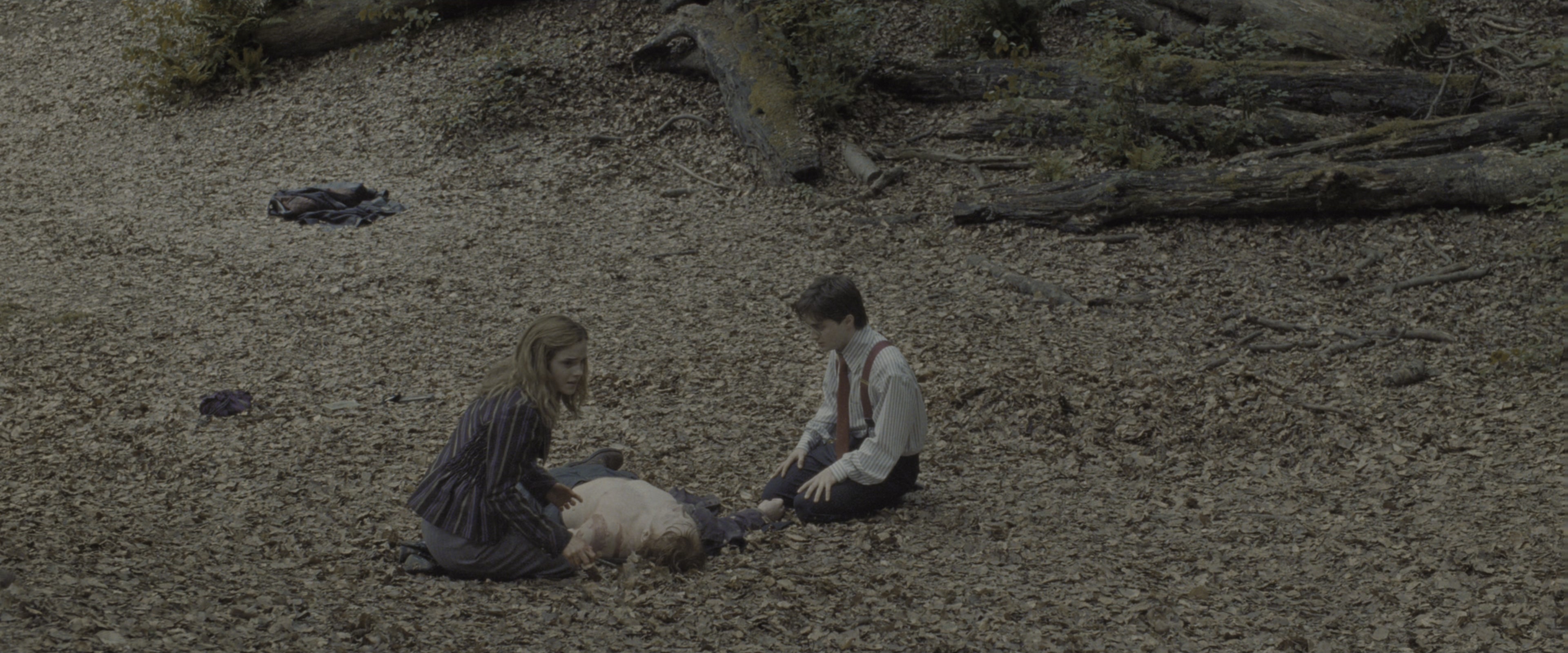 Harry Potter and the Deathly Hallows - Part 1 (2010), wide, 2.40:1 — film still