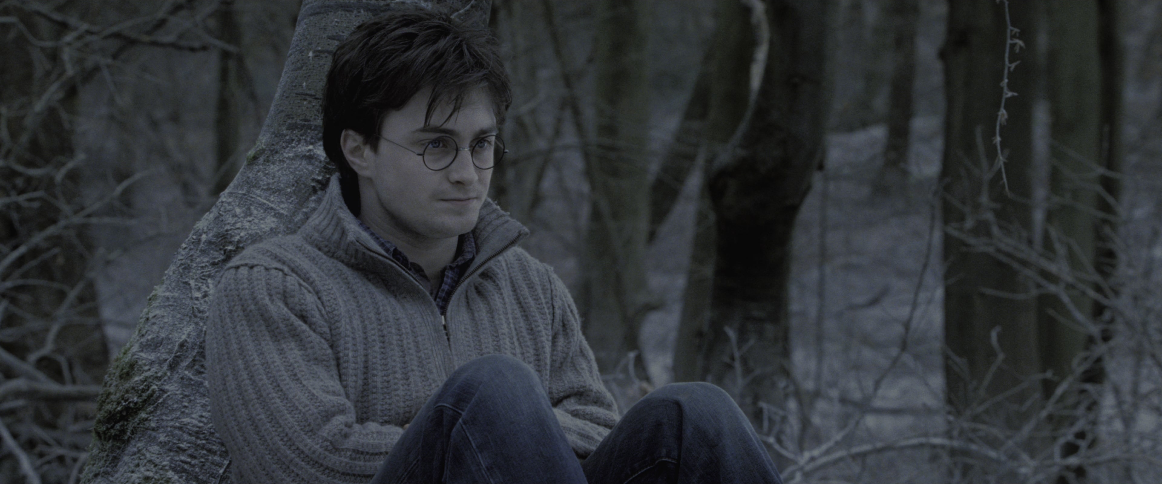 Harry Potter and the Deathly Hallows - Part 1 (2010), wide, 2.40:1 — film still