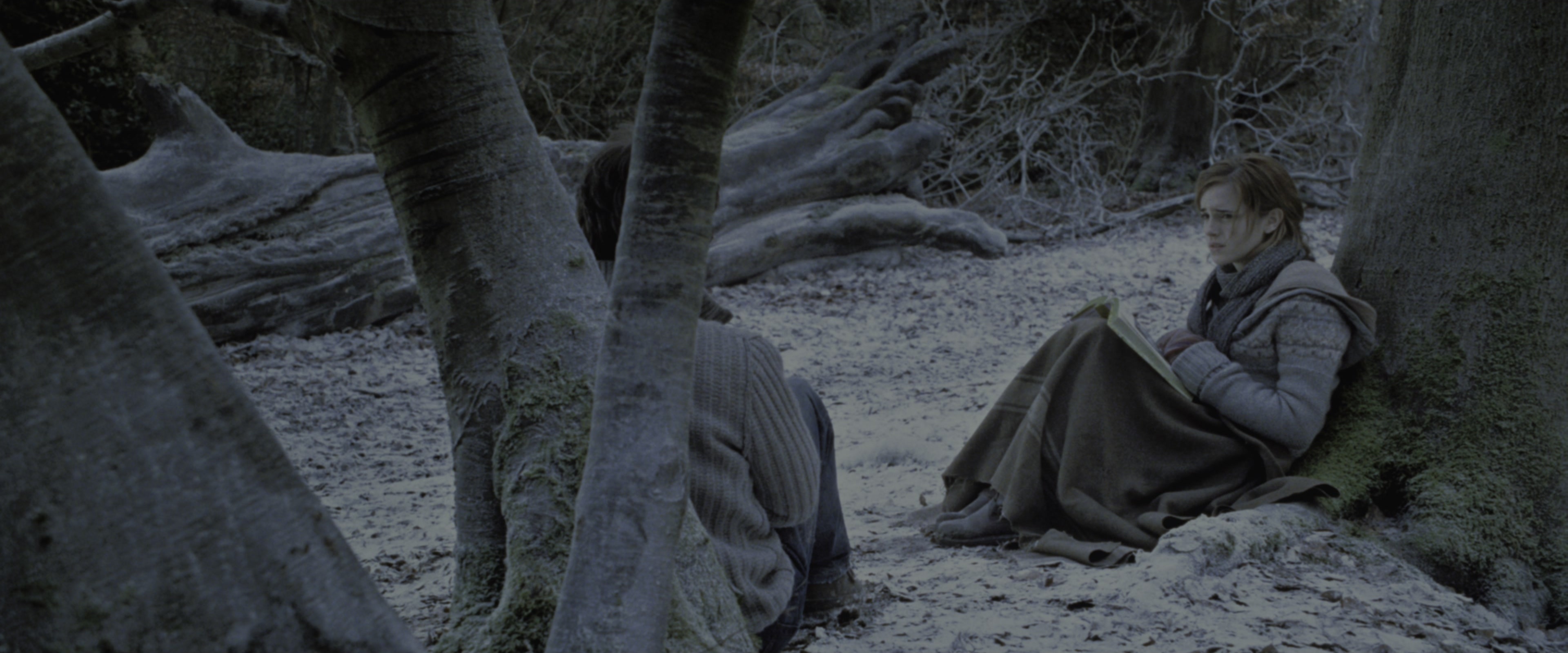 Harry Potter and the Deathly Hallows - Part 1 (2010), wide, 2.40:1 — film still