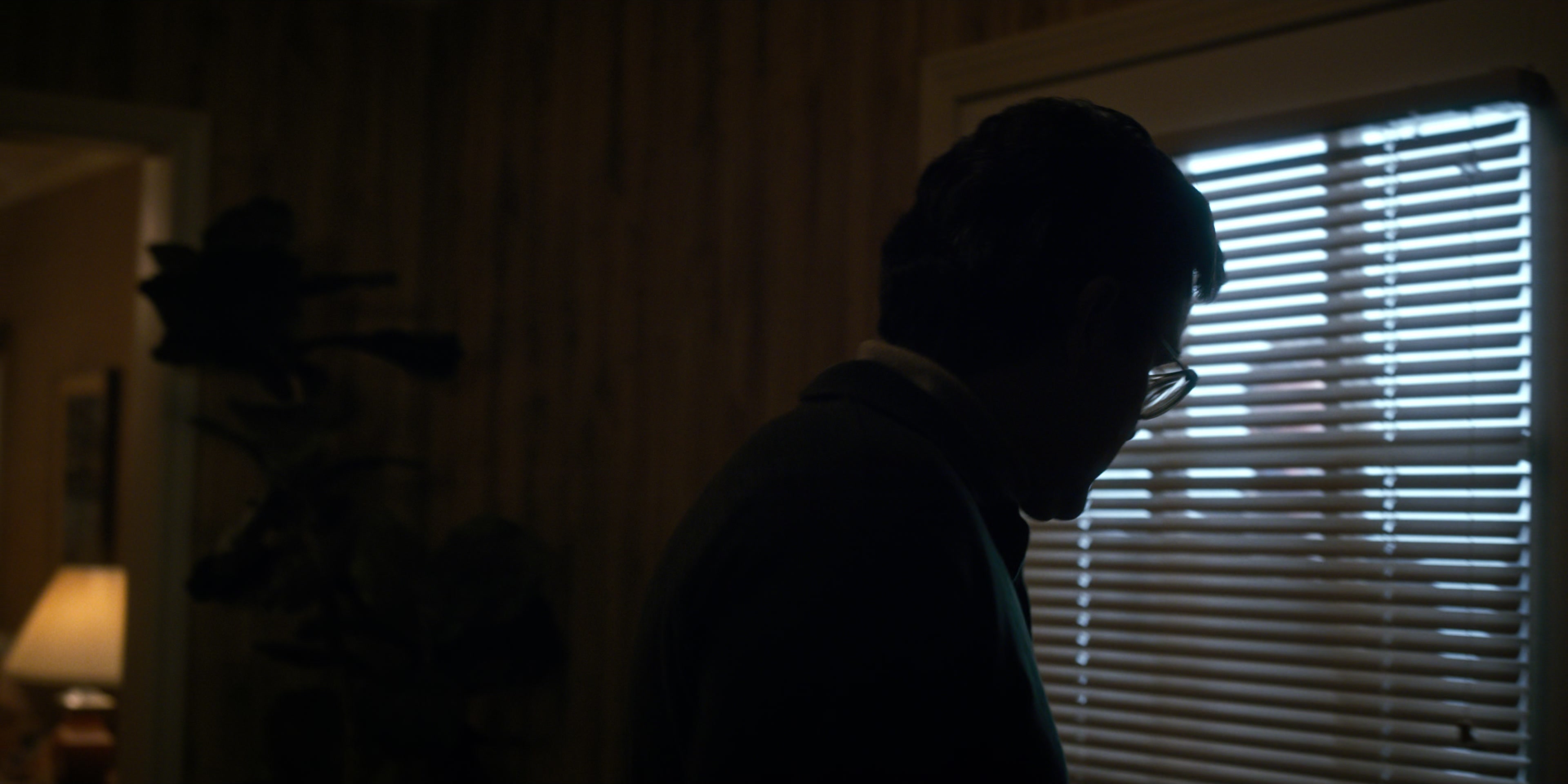 Stranger Things (2016), wide, 2.00:1 — film still