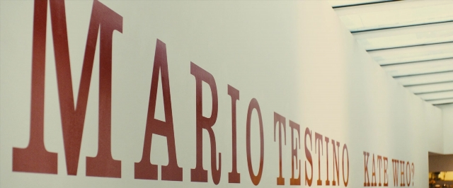 seria-31907.jpg