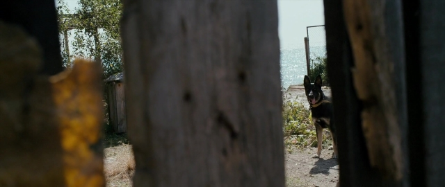 Wide shot frame from Kak menya zovut — standing, animal, dog