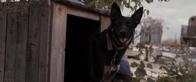 Wide shot frame from Kak menya zovut — sitting, dog