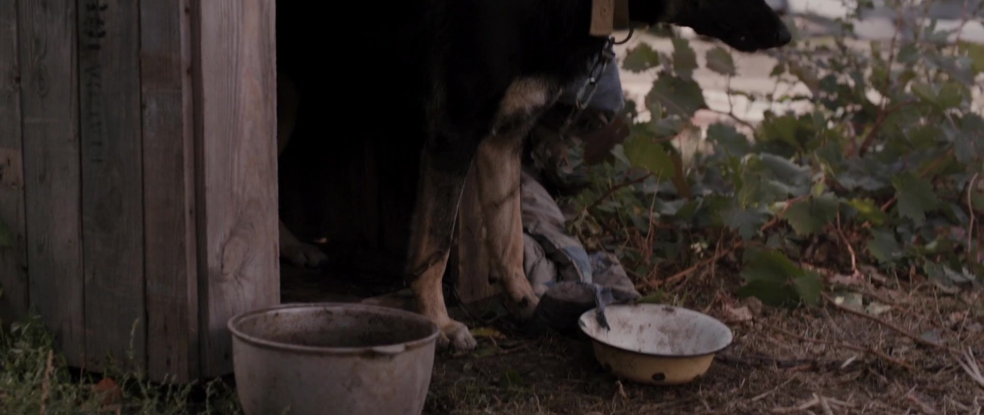 Kak menya zovut (2014), wide, 2.37:1 — film still
