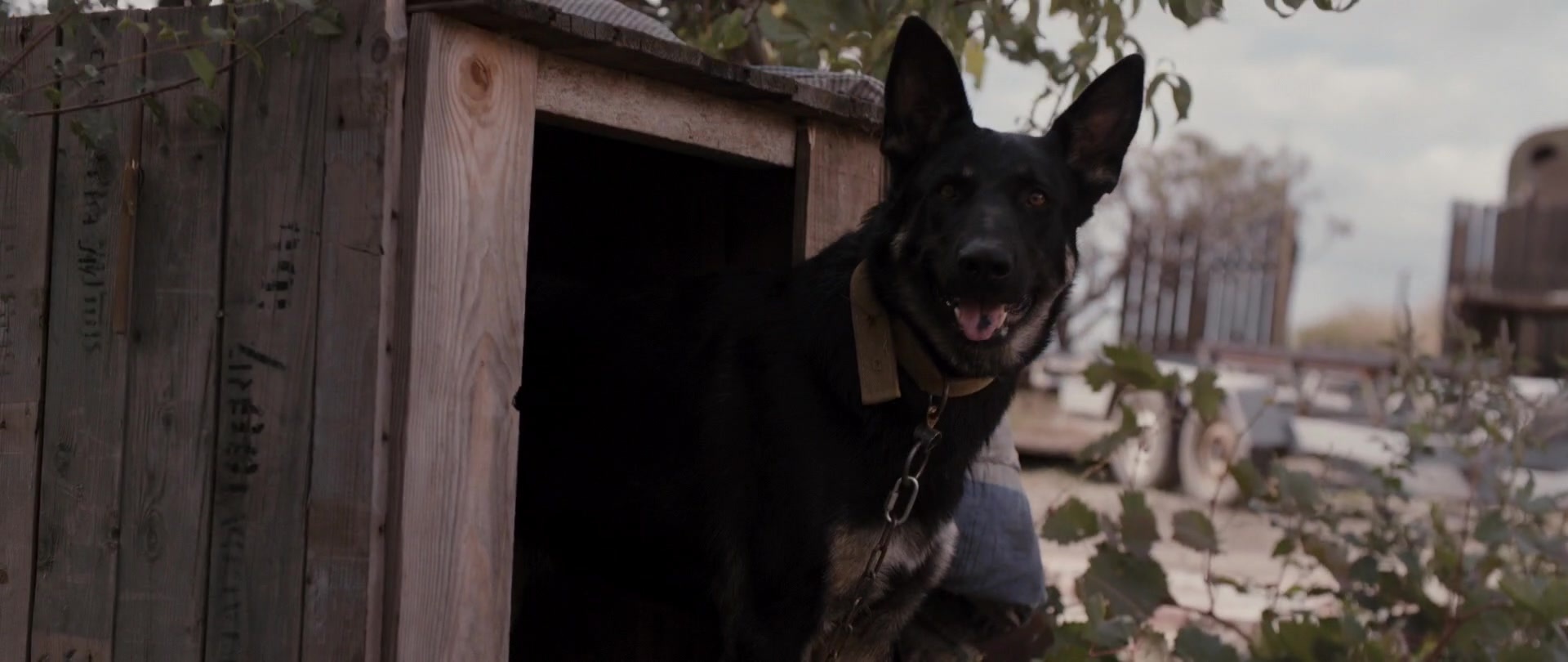 Kak menya zovut (2014), wide, 2.37:1 — film still