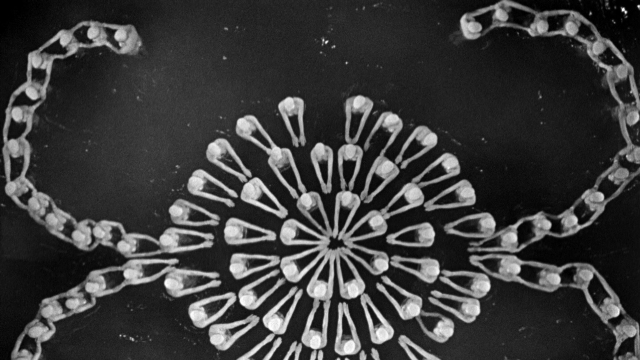Footlight Parade — film still