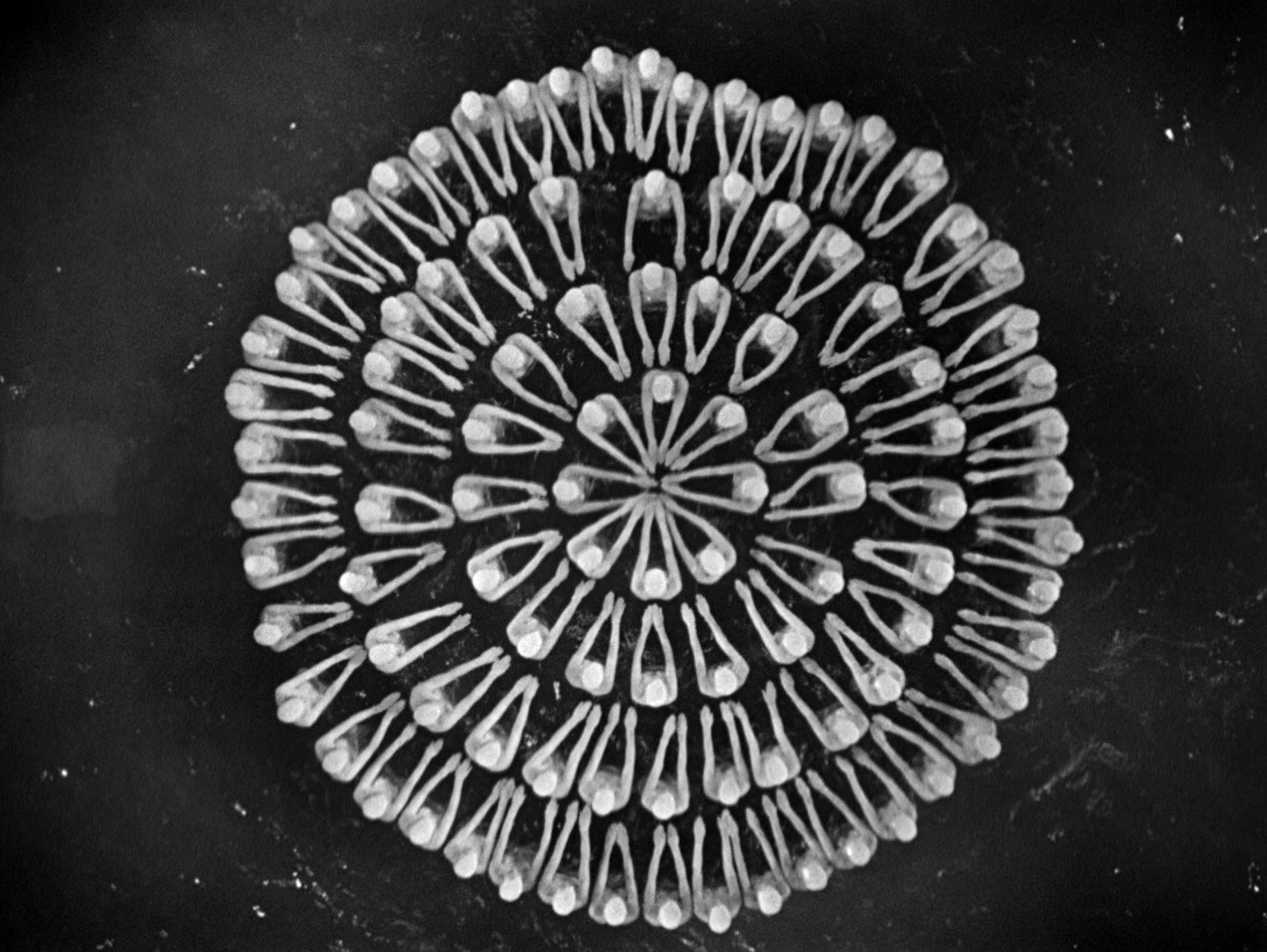 Footlight Parade (1933), wide, 1.33:1 — film still