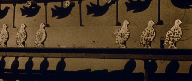 Wide shot frame from Butch Cassidy and the Sundance Kid — bird