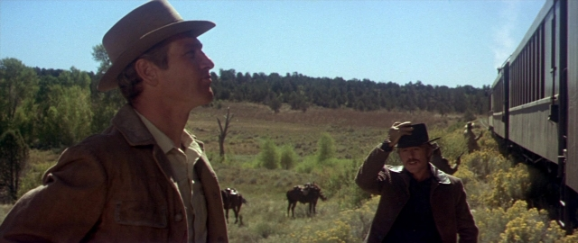 Wide shot frame from Butch Cassidy and the Sundance Kid — standing, hat, face