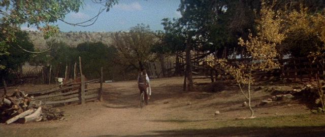 Wide shot frame from Butch Cassidy and the Sundance Kid — walking, street, dog