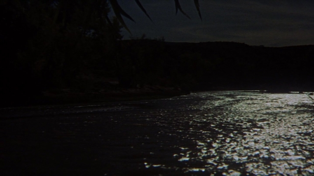 Wide shot frame from Butch Cassidy and the Sundance Kid — night, water, palm tree