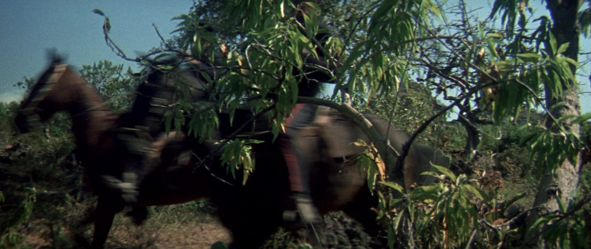 Butch Cassidy and the Sundance Kid (1969), wide, 2.37:1 — film still