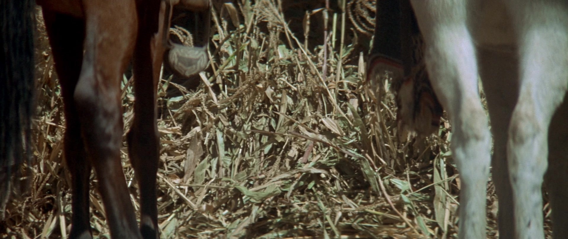 Butch Cassidy and the Sundance Kid (1969), wide, 2.37:1 — film still