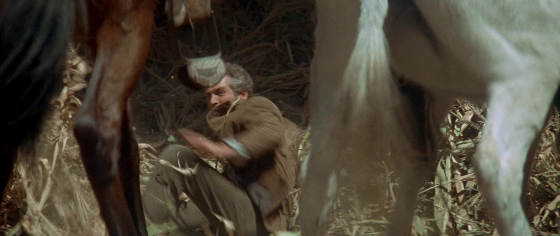 Butch Cassidy and the Sundance Kid (1969), wide, 2.37:1 — film still