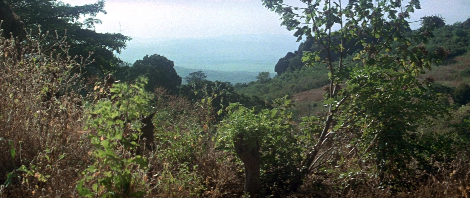 Butch Cassidy and the Sundance Kid (1969), wide, 2.37:1 — film still