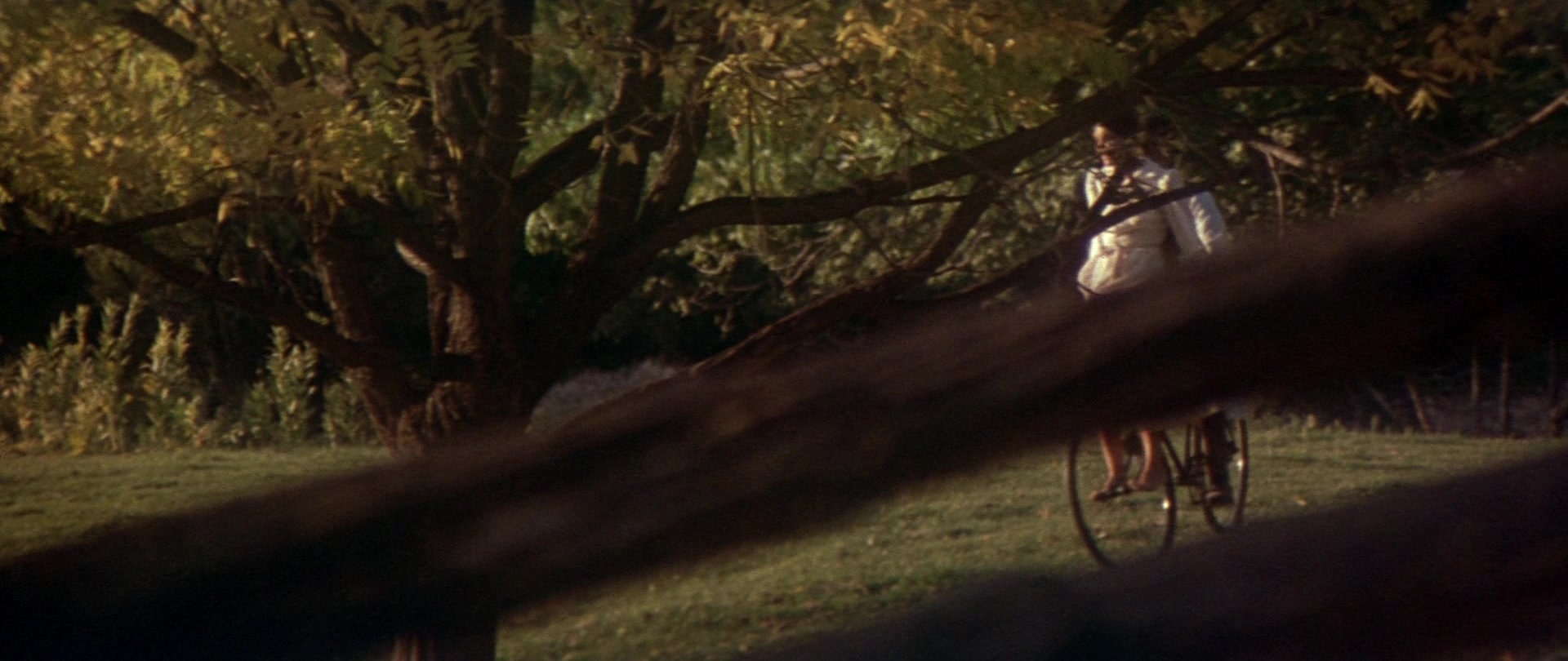 Butch Cassidy and the Sundance Kid (1969), wide, 2.37:1 — film still
