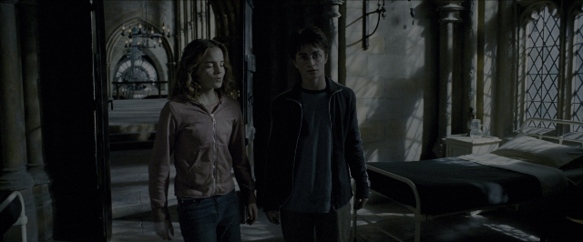 Wide shot frame from Harry Potter and the Prisoner of Azkaban — action, standing, show