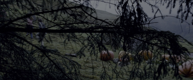 Wide shot frame from Harry Potter and the Prisoner of Azkaban — standing, walking, bird