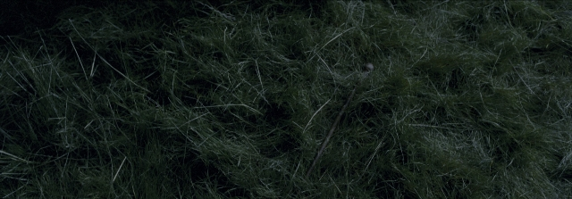 Harry Potter and the Prisoner of Azkaban — film still
