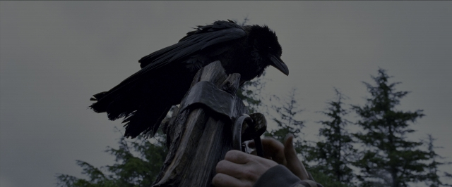 Wide shot frame from Harry Potter and the Prisoner of Azkaban — hand, raven, person