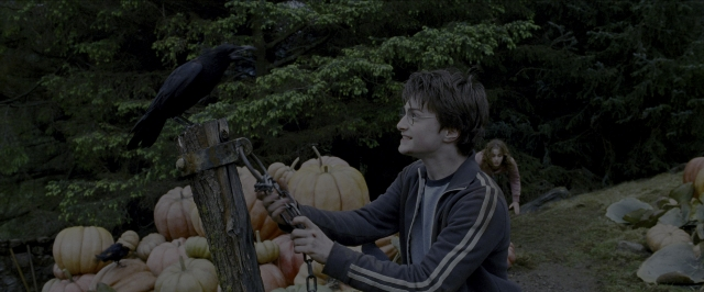 Wide shot frame from Harry Potter and the Prisoner of Azkaban — sitting, hand, gun