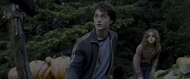 Wide shot frame from Harry Potter and the Prisoner of Azkaban — standing, jacket, face