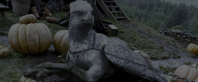 Wide shot frame from Harry Potter and the Prisoner of Azkaban — sitting, animal, bird