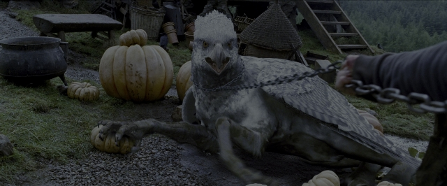 Wide shot frame from Harry Potter and the Prisoner of Azkaban — sitting, animal, bird