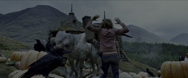 Wide shot frame from Harry Potter and the Prisoner of Azkaban — standing, bird, pumpkin