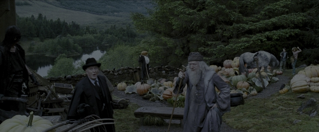 Wide shot frame from Harry Potter and the Prisoner of Azkaban — standing, hat, beard