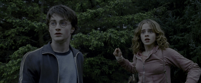 Wide shot frame from Harry Potter and the Prisoner of Azkaban — standing, hand, jacket