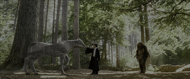 Wide shot frame from Harry Potter and the Prisoner of Azkaban — standing, animal, hand