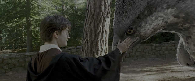 Wide shot frame from Harry Potter and the Prisoner of Azkaban — standing, animal, face