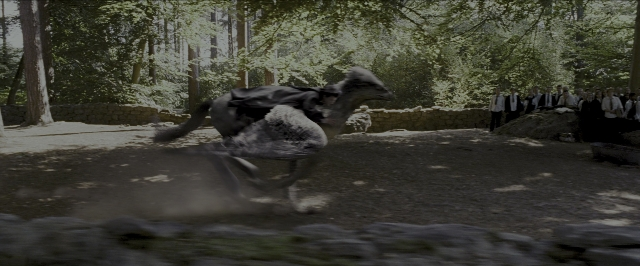 Wide shot frame from Harry Potter and the Prisoner of Azkaban — standing, ostrich, person