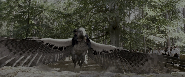 Wide shot frame from Harry Potter and the Prisoner of Azkaban — standing, bird, forest